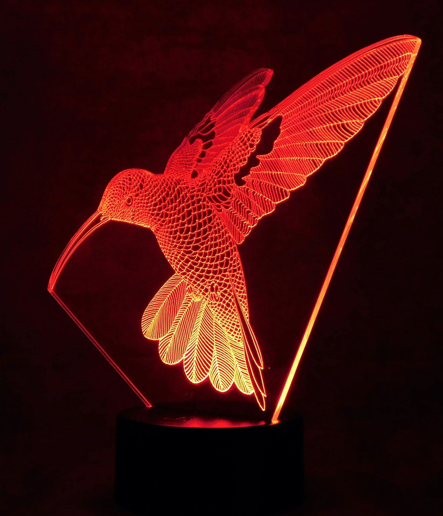 Hummingbird in Flight 3-D Optical Illusion Multicolored Light