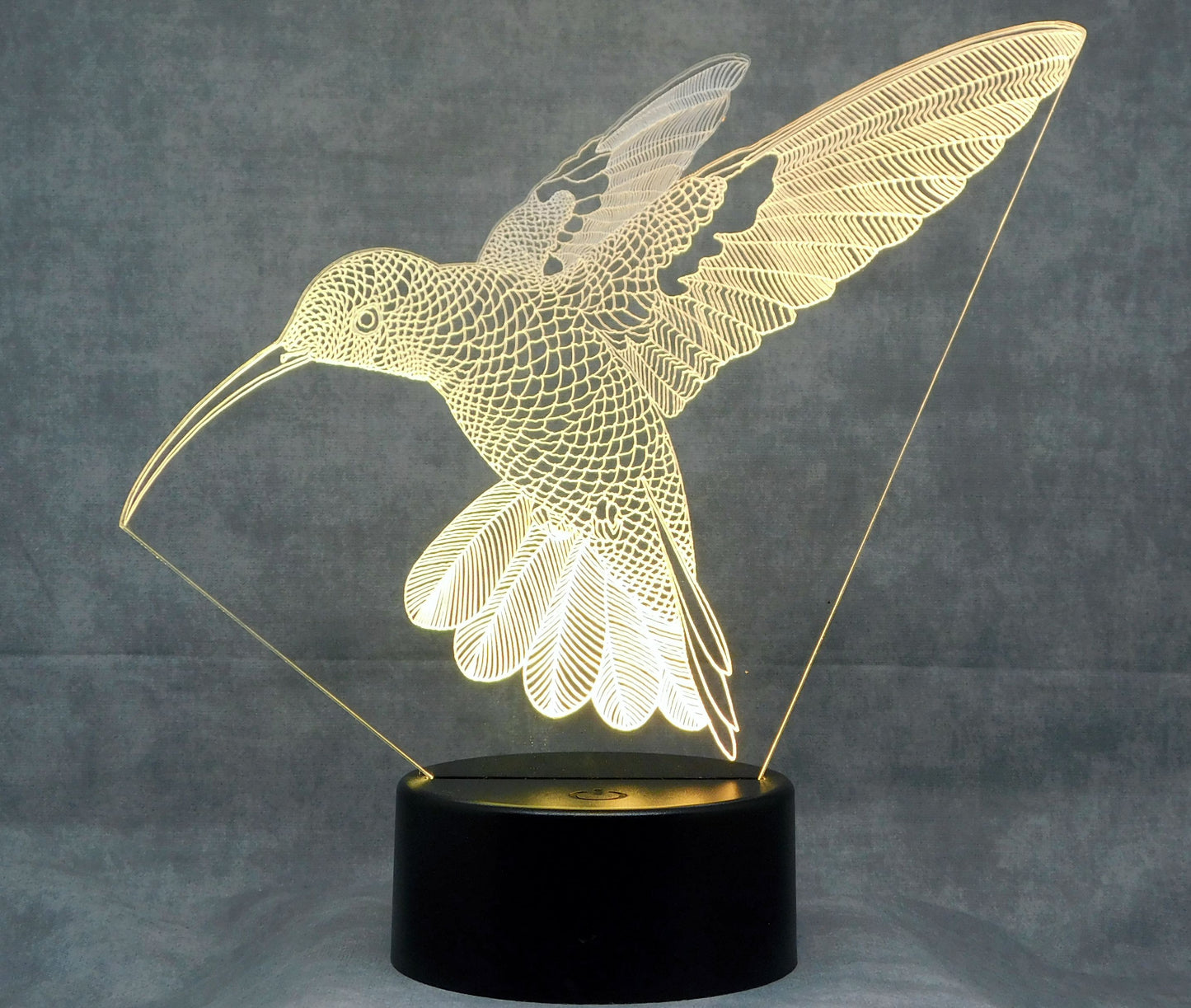 Hummingbird in Flight 3-D Optical Illusion Multicolored Light