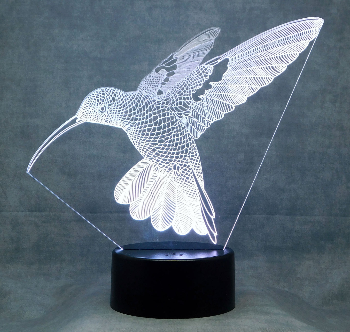 Hummingbird in Flight 3-D Optical Illusion Multicolored Light