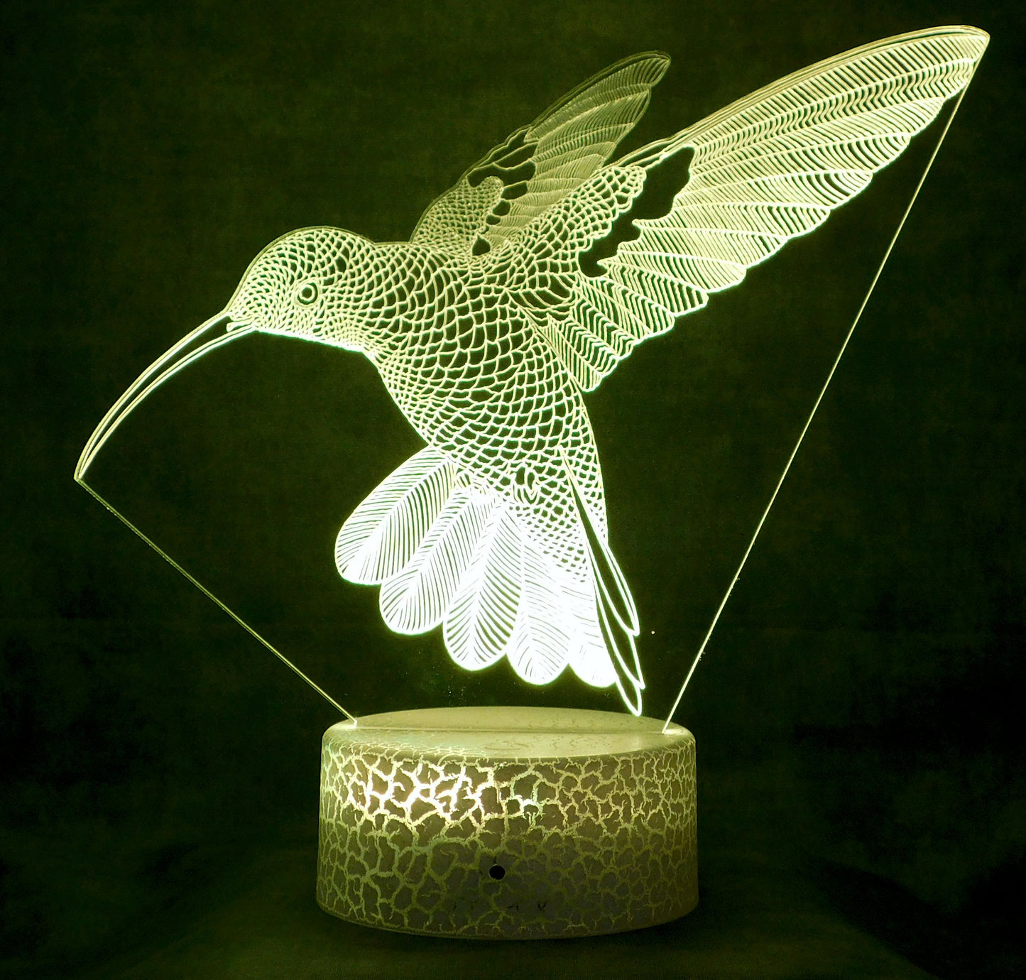 Hummingbird in Flight 3-D Optical Illusion Multicolored Light