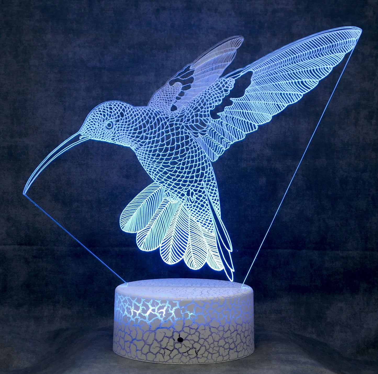 Hummingbird in Flight 3-D Optical Illusion Multicolored Light