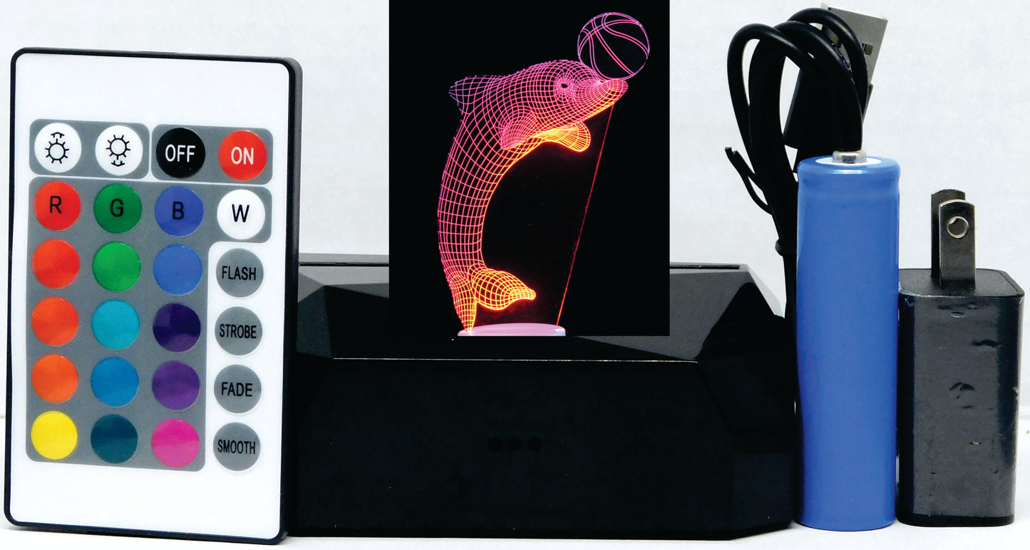 Dolphin with Ring or Ball 3-D Optical Illusion Multicolored Light