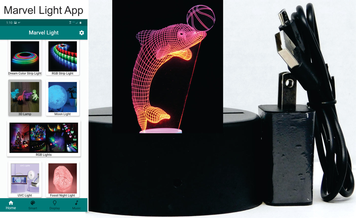 Dolphin with Ring or Ball 3-D Optical Illusion Multicolored Light