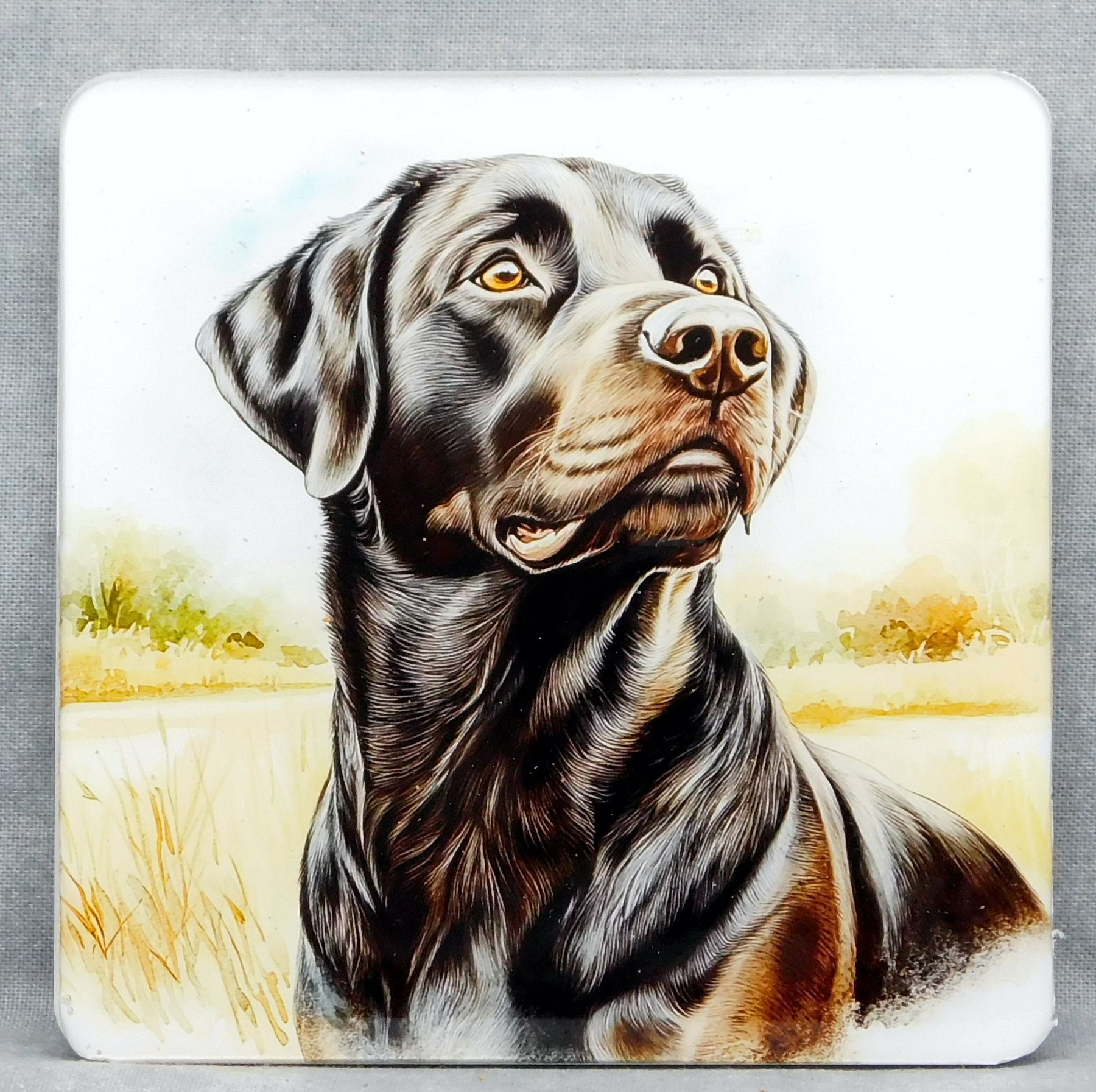 Coaster Black Lab Set of 4