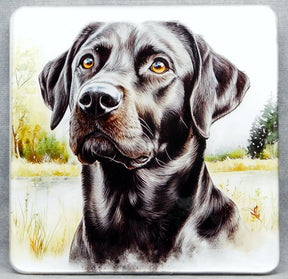 Coaster Black Lab Set of 4