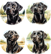 Coaster Black Lab Set of 4