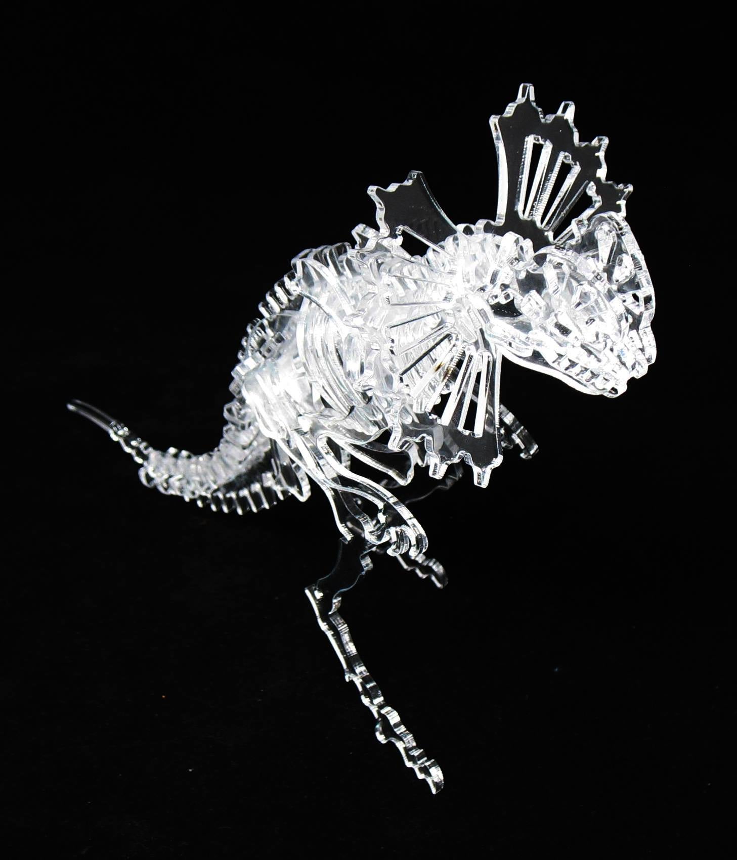 3-D Crystal Clear Ceratopsian Dinosaur Skeleton Puzzle