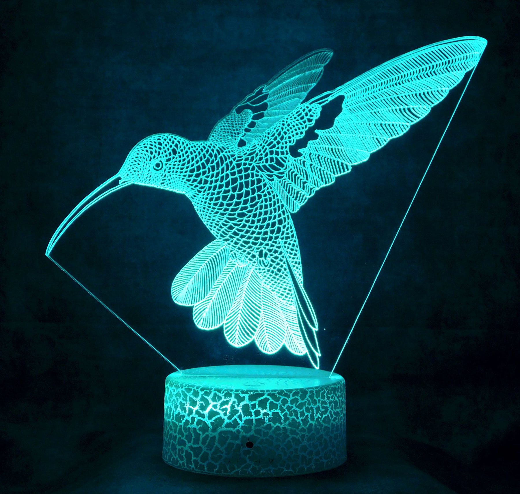 Hummingbird in Flight  3-D Optical Illusion Multicolored Light