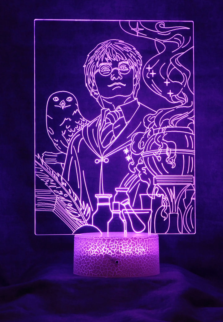 Harry Potter with Owl 3-D Optical Illusion Multicolored LED Lamp