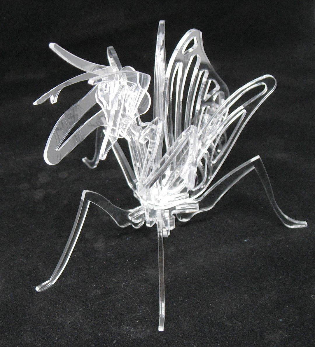 Mantis 3-D Crystal Clear Puzzle