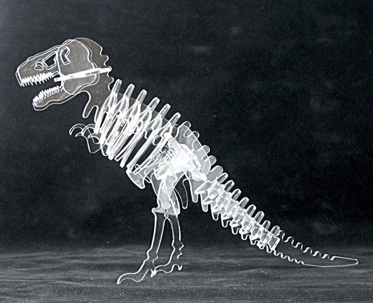 3-D Crystal Clear Tyrannosaurus Trex Dinosaur Skeleton Puzzle